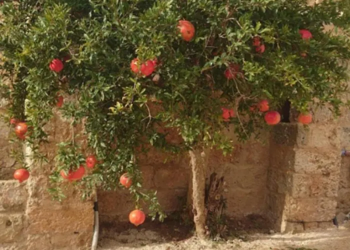 Апартаменты La Sita Невьяно