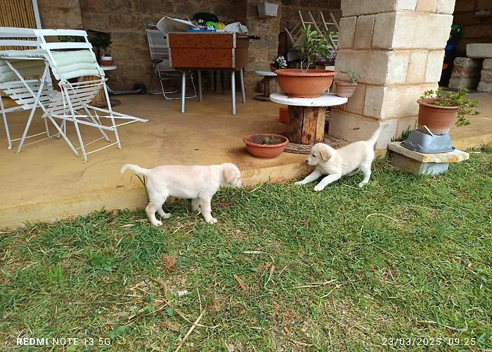 La Sita * 네비아노